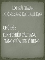 CHỦ ĐỀ : ĐỊNH CHIẾU CÁC TẠNG TẦNG GIỮA LÊN Ổ BỤNG
