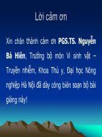 tiểu luận bài tìm hiểu về MYCOBACTERIACEAE