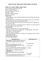 Giáo án dự thi giáo viên giỏi cấp tỉnh chủ đề nhận thức đề tài quê hương, đất nước