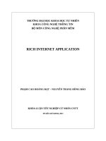 RICH INTERNET APPLICATION Tìm hiểu công nghệ và xây dựng ứng dụng
