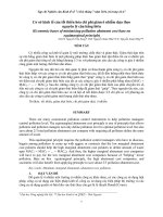 CƠ SỞ KINH TẾ TỐI THIỂU HÓA CHI PHÍ GIẢM THẢI