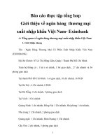 Báo cáo thực tập tổng hơp giới thiệu về ngân hàng thương mại xuất nhập khẩu việt nam  eximbank 