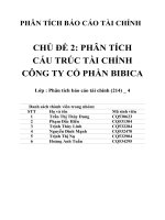 PHÂN TÍCH CẤU TRÚC TÀI CHÍNHCÔNG TY CỔ PHẦN BIBICA