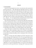 Vận dụng lí thuyết kiến tạo trong dạy học môn Hóa học 10 nâng cao nhằm phát triển một số năng lực cho học sinh (TT)