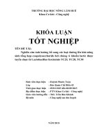 Nghiên cứu ảnh hưởng bổ sung các loại đường lên khả năng sinh tổng hợp exopolysaccharids bởi chủng vi khuẩn     