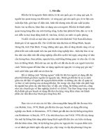 xây dựng bản đồ đơn vị đất đai xã Hồng Minh