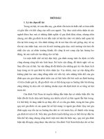 Biến đổi cấu trúc  chức năng gia đình người Kinh ở nông thôn trung du đồng bằng Bắc bộ trong giai đoạn hiện nay” (nghiên cứu trường hợp tại xã Bản Nguyên, huyện Lâm Thao, tỉnh Phú Thọ)
