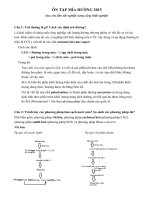 Đề Cương Ôn Tập Mía Đường