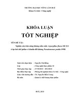 Nghiên cứu khả năng kháng nấm mốc aspergillus flavus DC213 ở lạc bởi chế phẩm vi khuẩn đối kháng pseudomonas putida 199b 