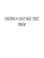 bài giảng chất màu thực phẩm