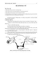 HỆ SINH DỤC NỮ