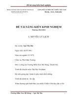 Sáng kiến kinh nghiệm một số biện pháp nâng cao chất lượng giáo dục dinh dưỡng và vệ sinh an toàn thực phẩm cho trẻ trường mầm non mỹ hưng 