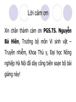 bài giảng  về Rabies virus 2011