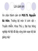 bài tìm hiểu  về họ vi khuẩn Pasteurellaceae 2011