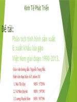 tiểu luận kinh tế phátt triển Phân tích tình hình sản xuất xuất khẩu lúa gạo Việt Nam giai đoạn 1990-2013
