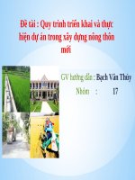 tiểu luận Quy trình triển khai và thực hiện dự án trong xây dựng nông thôn mới