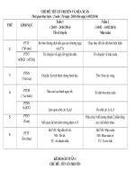 Giáo án chủ điểm tết và ngày xuân cho các cháu