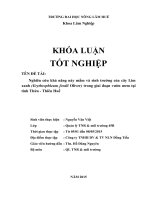 Nghiên cứu khả năng nảy mầm và sinh trưởng của cây lim xanh (erythrophleum fordii oliver) trong giai đoạn vườn ươm tại tỉnh thừa   thiên huế 