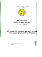 RỦI RO TRONG THANH TOÁN TÍN DỤNG ĐỐI VỚI DOANH NGHIỆP XUẤT NHẬP KHẨU