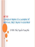 tiểu luận kinh tế phát triển TẦM QUAN TRỌNG CỦA LAO ĐỘNG NỮ HIỆN NAY, THỰC TRẠNG VÀ GIẢI PHÁP
