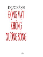 Thực hành động vật không xương sống