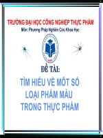 TÌM HIỂU VỀ MÔT SỐ LOẠI PHẨM MÀU TRONG THựC PHẨM