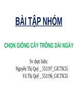 bài tập nhóm chọn giống cây trồng dài ngày