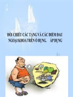 ĐỐI CHIẾU CÁC TẠNG VÀ CÁC ĐIỂM ĐAU NGOẠI KHOA TRÊN Ổ BỤNG. ÁP DỤNG