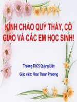 Giáo án sinh học lớp 8 tuyến tụy và tuyến trên thận (5) 