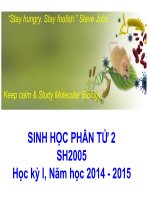 bài giảng sinh học phân tử