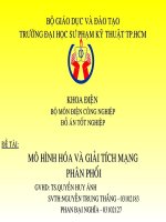 đề tài mô hình hóa và giải tích mạng phân phối