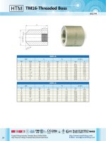 TM16 threaded boss 1234567890