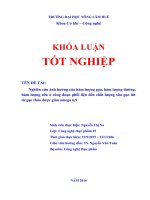 Nghiên cứu ảnh hưởng của hàm lượng gạo, hàm lượng đường, hàm lượng sữa ở công đoạn phối liệu đến chất lượng sữa gạo lứt từ gạo thảo dược giàu omega 6,9 