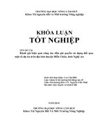 Đánh giá hiệu quả công tác đấu giá quyền sử dụng đất qua một số dự án trên địa bàn huyện diễn châu, tỉnh nghệ an 