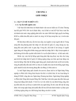 Báo cáo thực tập tốt nghiệp tại công kim khí hà nội 