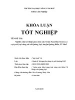 Nghiên cứu kỹ thuật gieo ươm cây tràm nam bộ (melaleuca cajuputii) tại vùng cát xã quảng lợi, huyện quảng điền, TT huế 