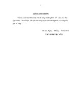 Luận văn thạc sỹ kế toán 2016 Kế toán doanh thu, chi phí và kết quả kinh doanh tại Công ty TNHH Hoàng Yến