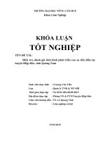 Điều tra, đánh giá tình hình phát triển cao su tiểu điền tại huyện hiệp đức, tỉnh quảng nam 