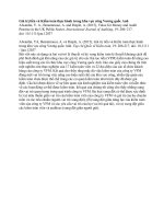 Giá trị tiền và kiểm toán thực hành trong khu vực công vương quốc anh 