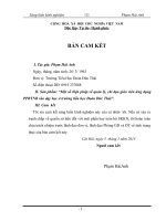 skkn “một số biện pháp về quản lý, chỉ đạo giáo viên ứng dụng PPBTNB vào dạy học ở trường tiểu học đoàn đức thái