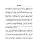 ’NGHIÊN CỨU XÁC ĐỊNH HÀM LƯỢNG CÁC KIM LOẠI NẶNG ĐỒNG, CHÌ, CADIMI TRONG NƯỚC BỀ MẶT SÔNG NHUỆ BẰNG PHƯƠNG PHÁP PHỔ HẤP THỤ NGUYÊN TỬ DÙNG NGỌN LỬA (FAAS)