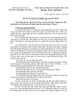 Báo cáo tóm tắt và đơn sáng kiến kinh nghiệm tin học lớp 5