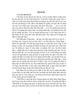 Tín ngưỡng thờ Mẫu và ảnh hưởng của nó đối với đời sống tinh thần nhân dân tỉnh Vĩnh Phúc