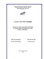 Sản Xuất Nước Giải Khát Lên Men Từ Dịch Chiết Đài Hoa Bụp Giấm Hibiscus Sabdariffa L.