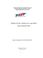 Nghiên Cứu Hệ Vi Khuẩn Lactic Tạp Nhiễm Dịch Tương Đậu Nành