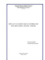 Phân Lập Và Xác Định Vi Khuẩn Clostridia Sinh Dung Môi ACETONE – BUTANOL – ETHANOL