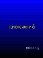 hẹp động mạch phổi, bs đào hữu trung