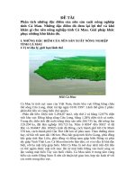 Phân tích những đặc điểm của nền sản xuất nông nghiệp tỉnh Cà Mau