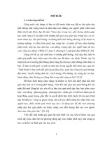 Rèn luyện kĩ năng tự kiểm tra, đánh giá cho học sinh trong dạy học lịch sử Việt Nam lớp 10 THPT (chương trình chuẩn)