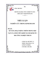 bài tiều luận nghiên cứu kinh doanh iuh